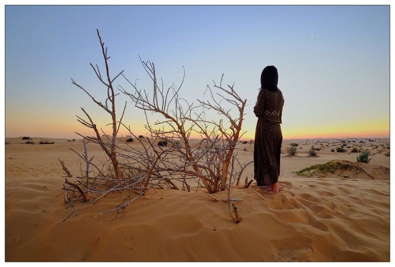 【阿联酋】沙漠之洲--迪拜、阿布扎比 - 作品展